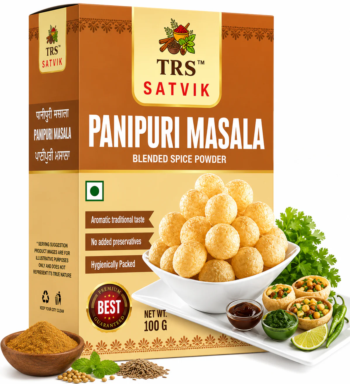 TRS Satvik Pani Puri Masala